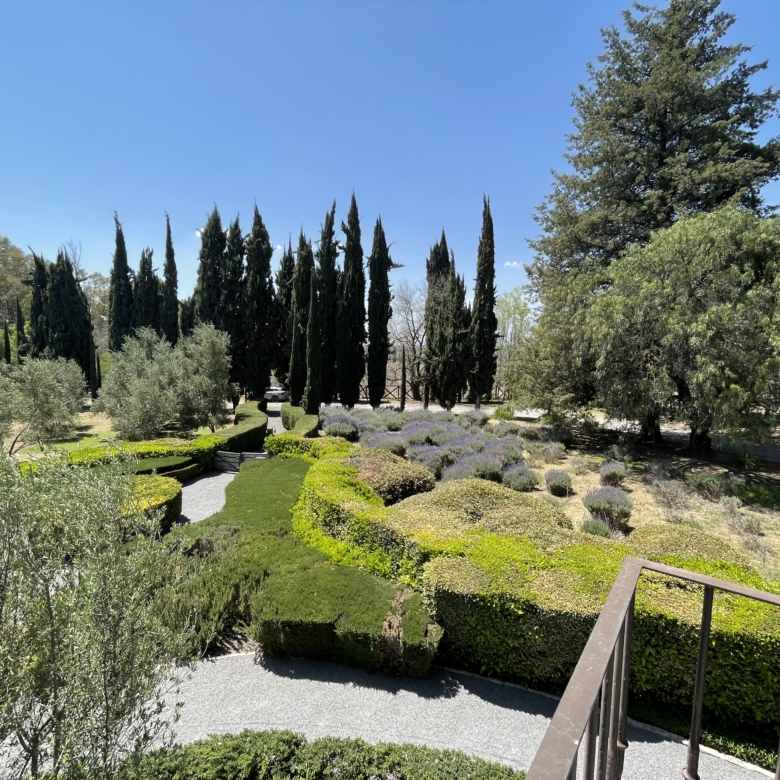 Beautiful garden with cypress trees, trimmed bushes, and walking paths in a serene outdoor setting.