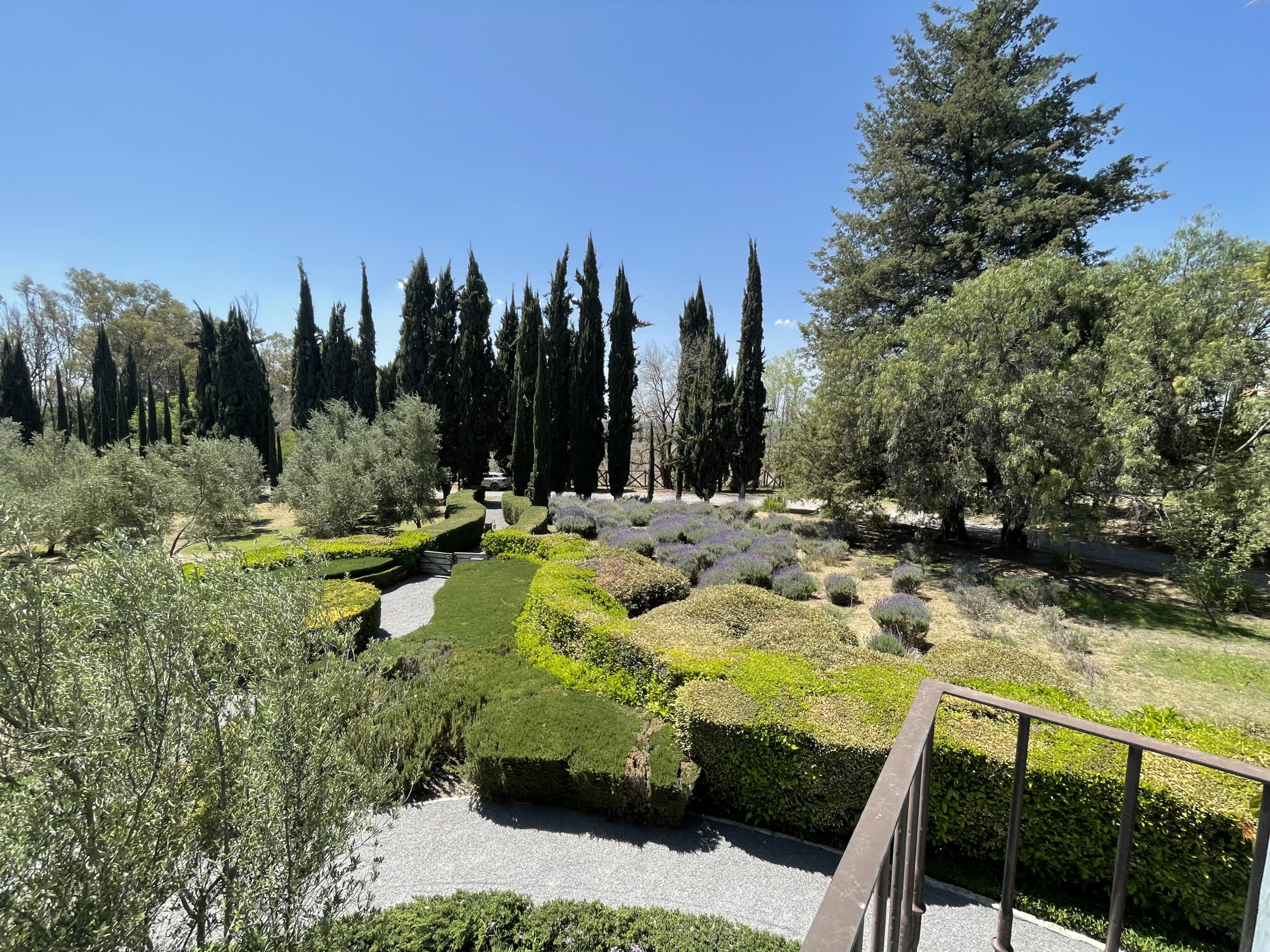 Beautiful garden with cypress trees, trimmed bushes, and walking paths in a serene outdoor setting.