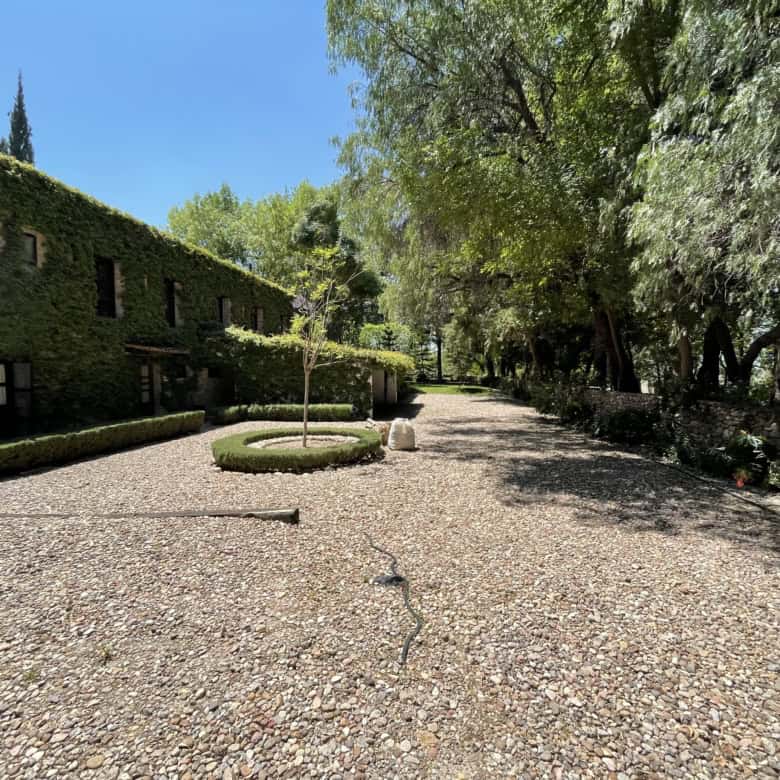 Beautiful garden scene with lush trees and a gravel pathway in a peaceful outdoor setting.
