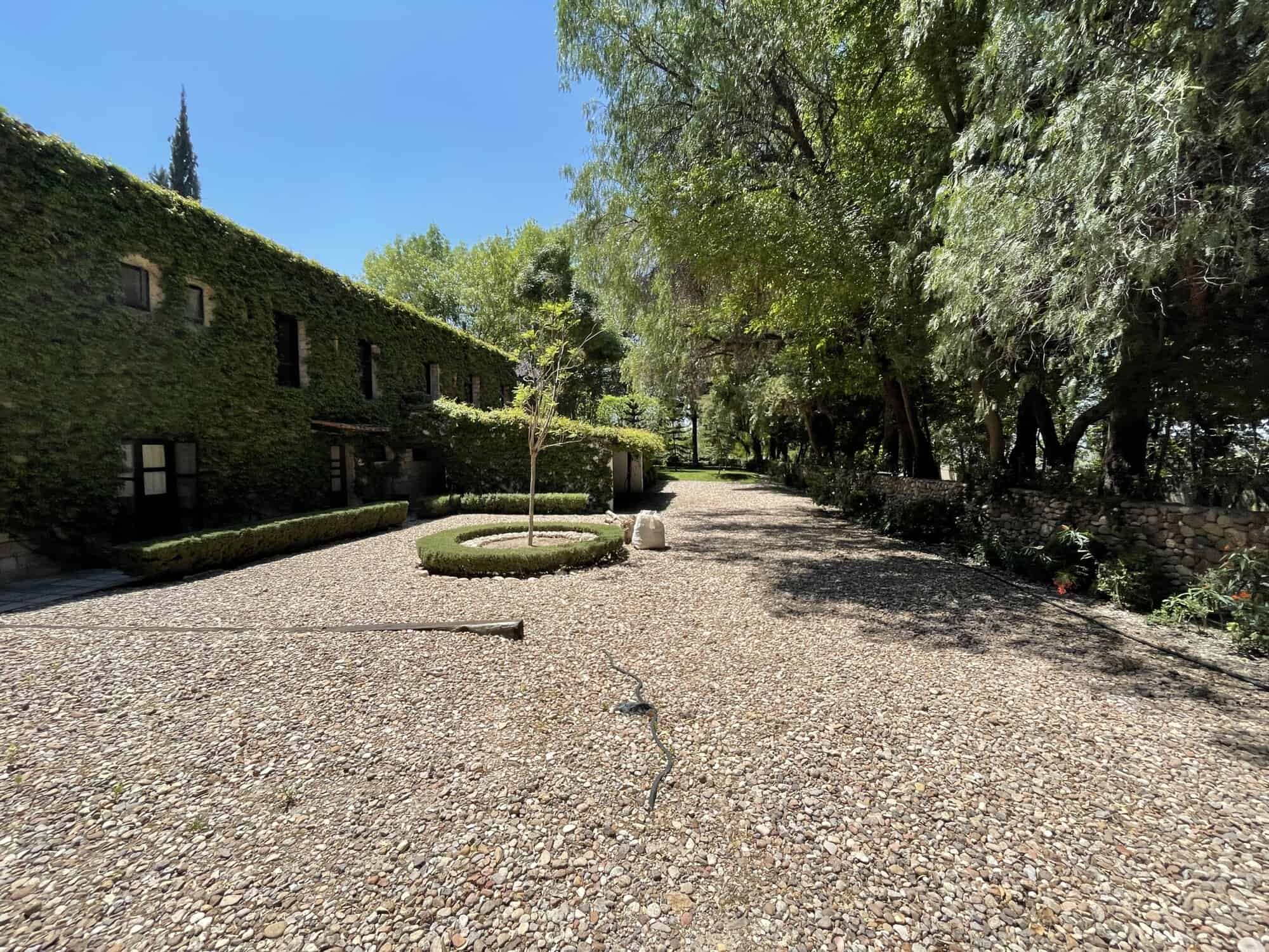Beautiful garden scene with lush trees and a gravel pathway in a peaceful outdoor setting.