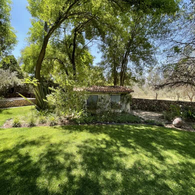 Lush garden featuring mature trees, vibrant green grass, and a small stone shed, perfect for outdoor.