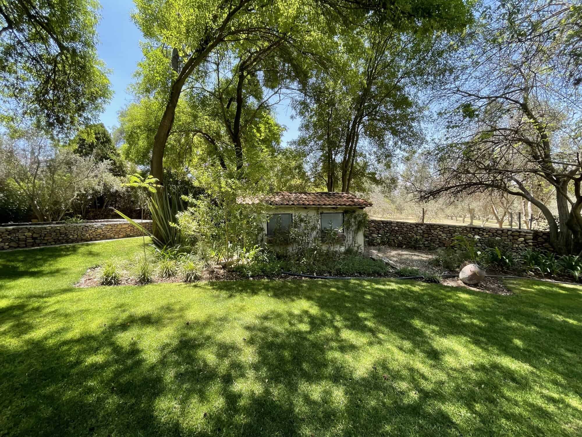 Lush garden featuring mature trees, vibrant green grass, and a small stone shed, perfect for outdoor.