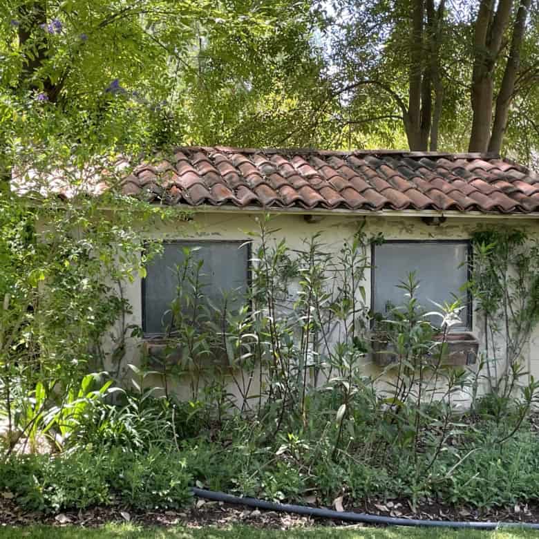 Cozy rural house surrounded by greenery, trees, and flowering plants, ideal for peaceful living or i.