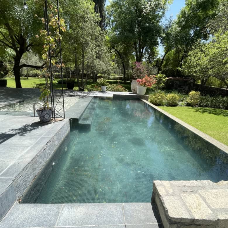 Beautiful outdoor pool with clear water and surrounding greenery.