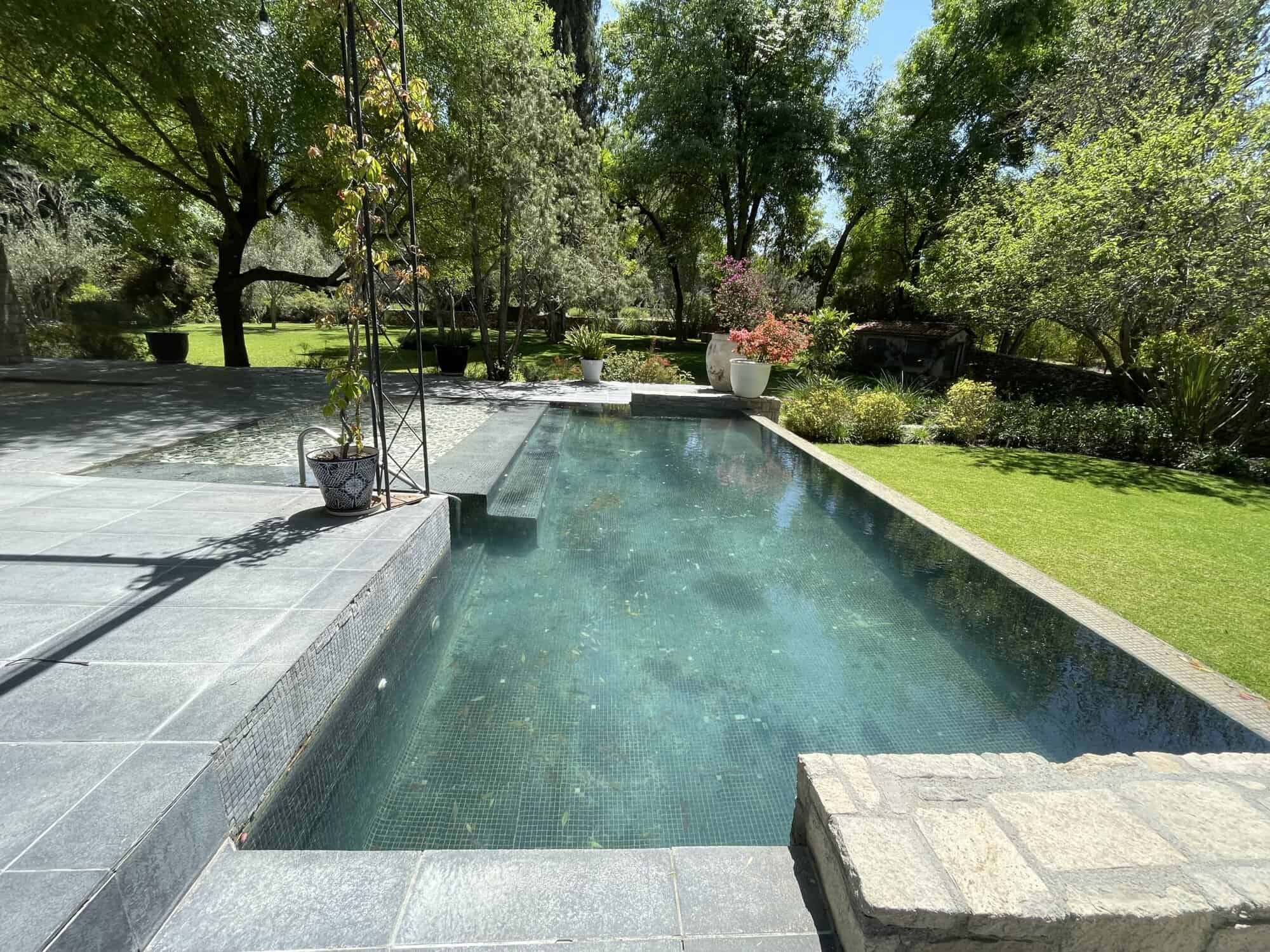 Beautiful outdoor pool with clear water and surrounding greenery.
