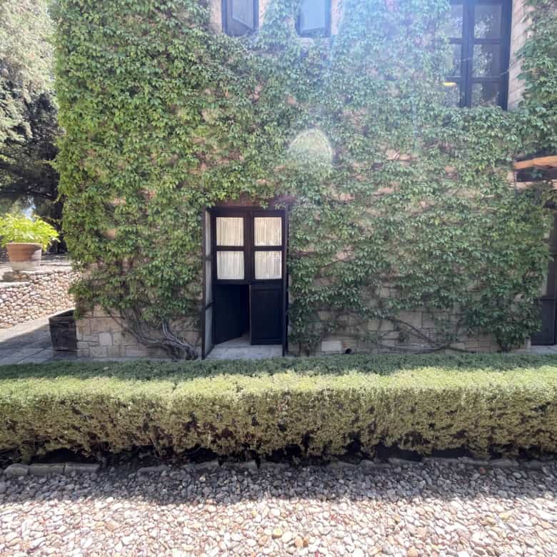 Ivy-covered house facade with lush greenery and traditional windows, showcasing a picturesque proper.