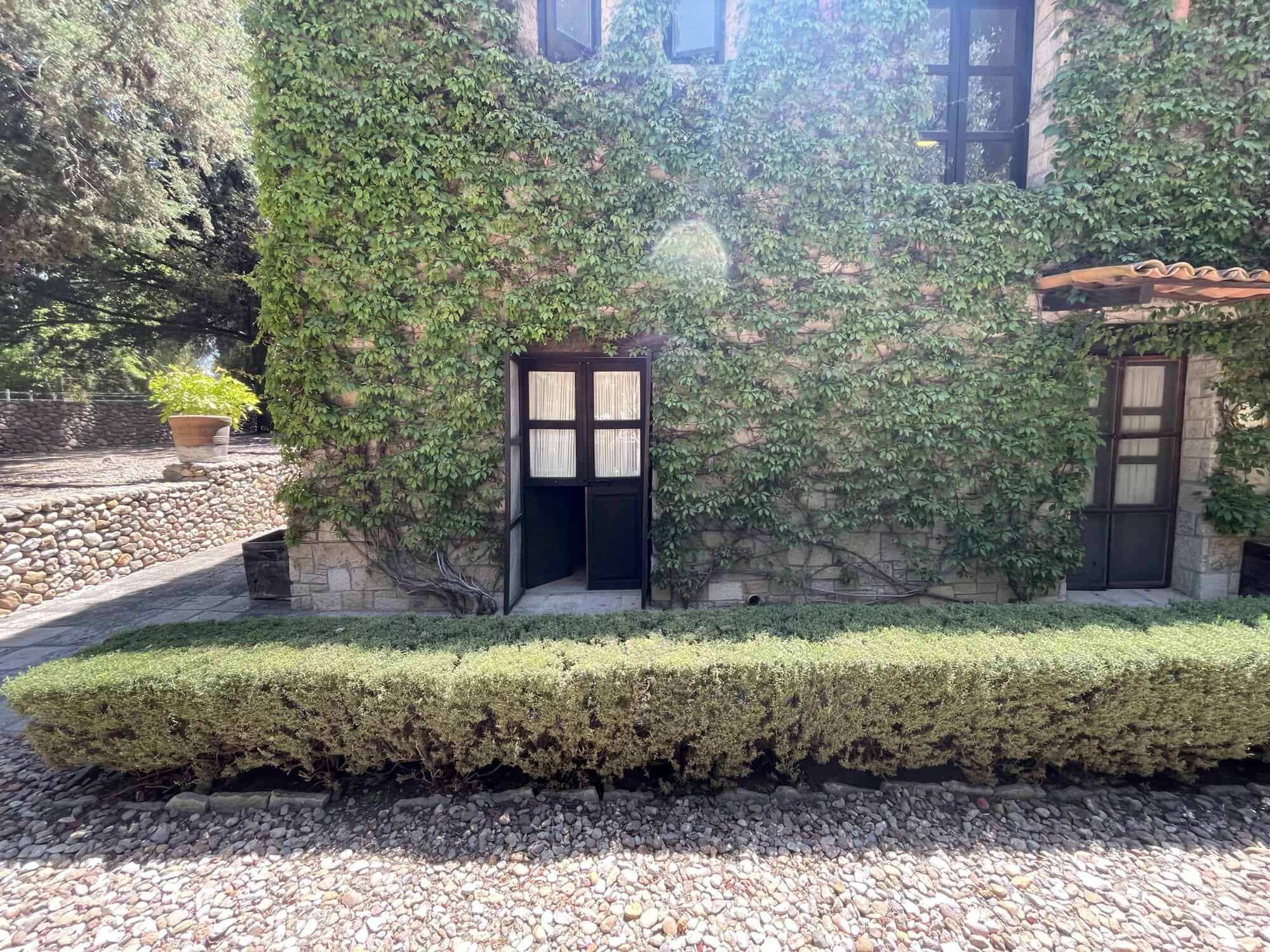 Ivy-covered house facade with lush greenery and traditional windows, showcasing a picturesque proper.