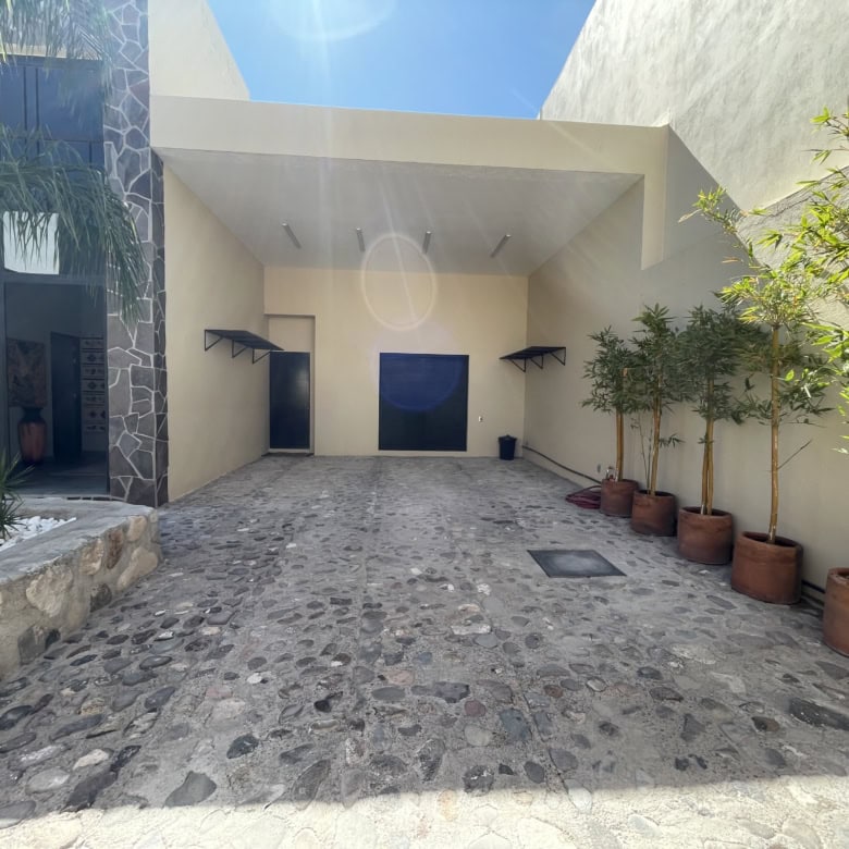 Modern minimalist driveway with potted trees and stone pathway.