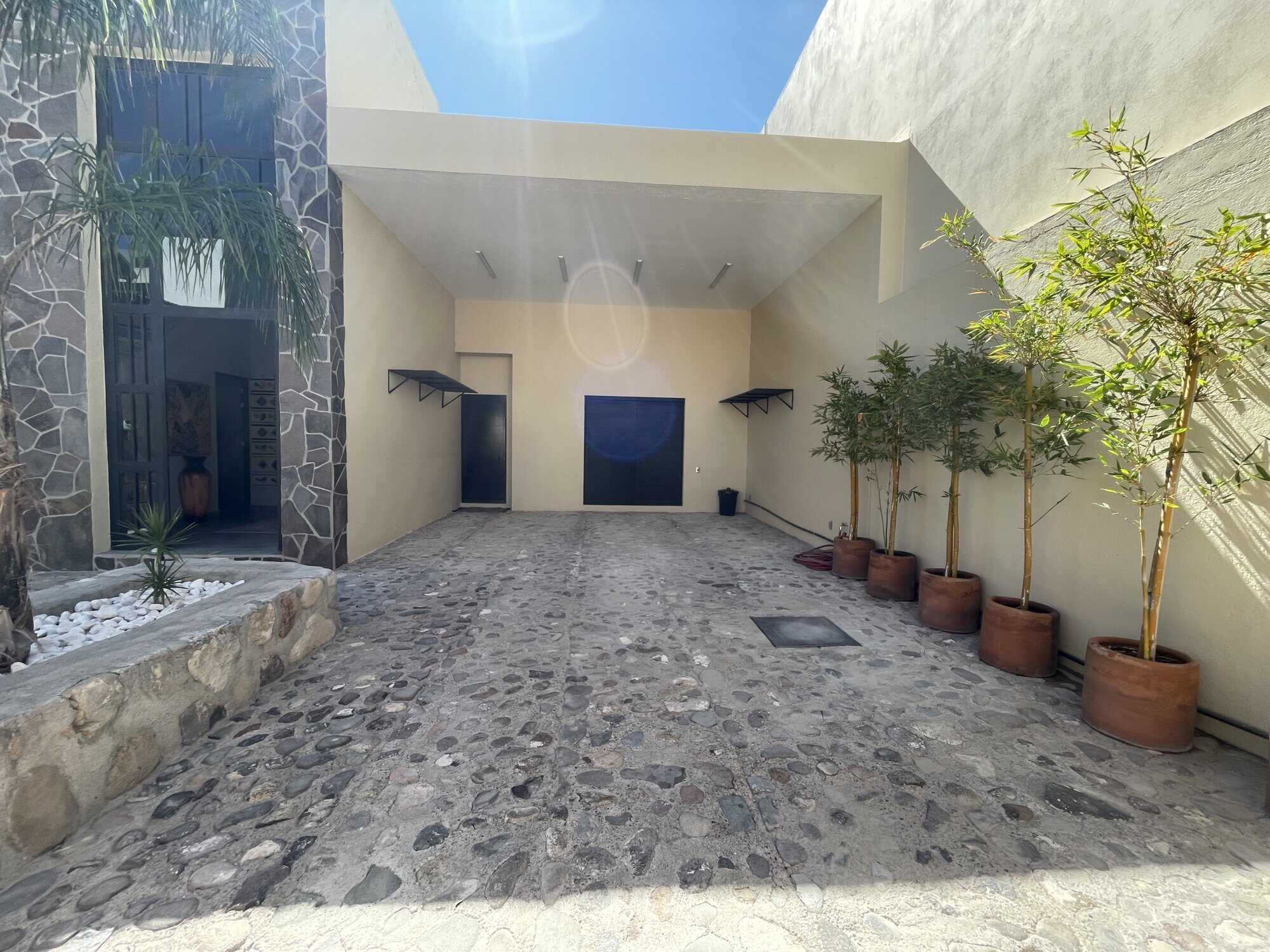 Modern minimalist driveway with potted trees and stone pathway.