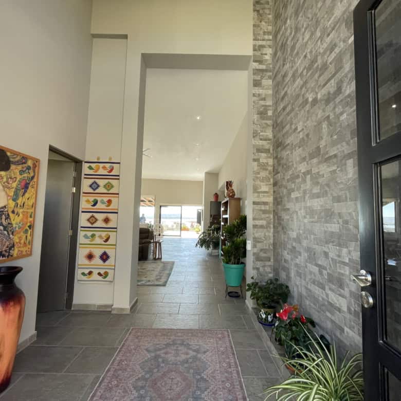 Spacious home entryway featuring contemporary decor, colorful artwork, and lush greenery.