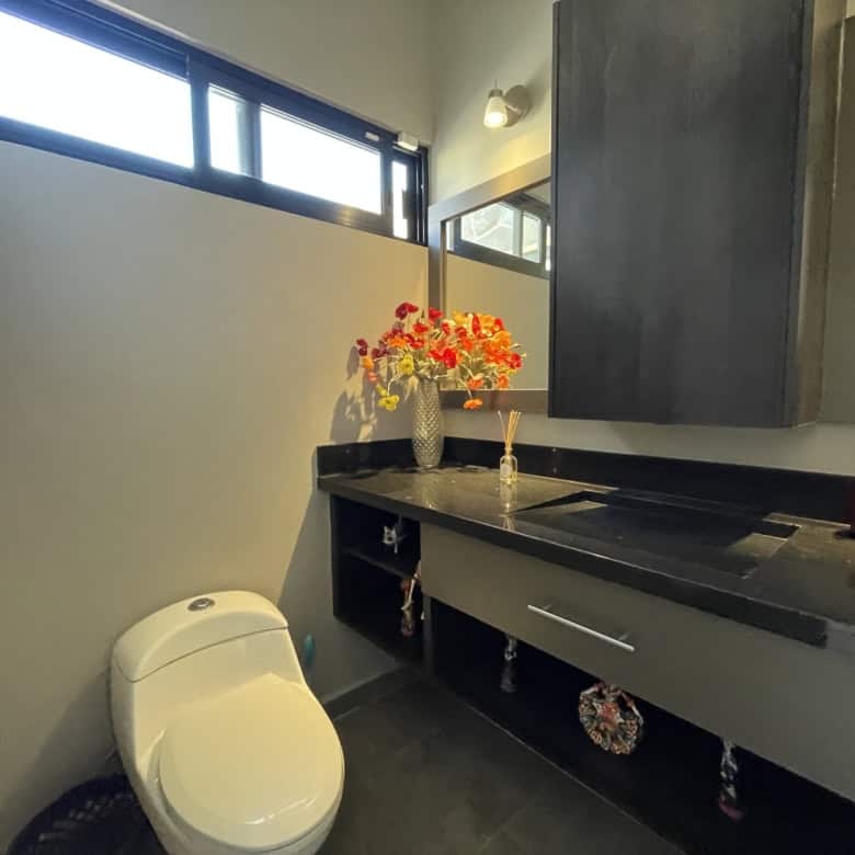 Modern bathroom featuring a black countertop, decorative vase with flowers, and natural light from w.