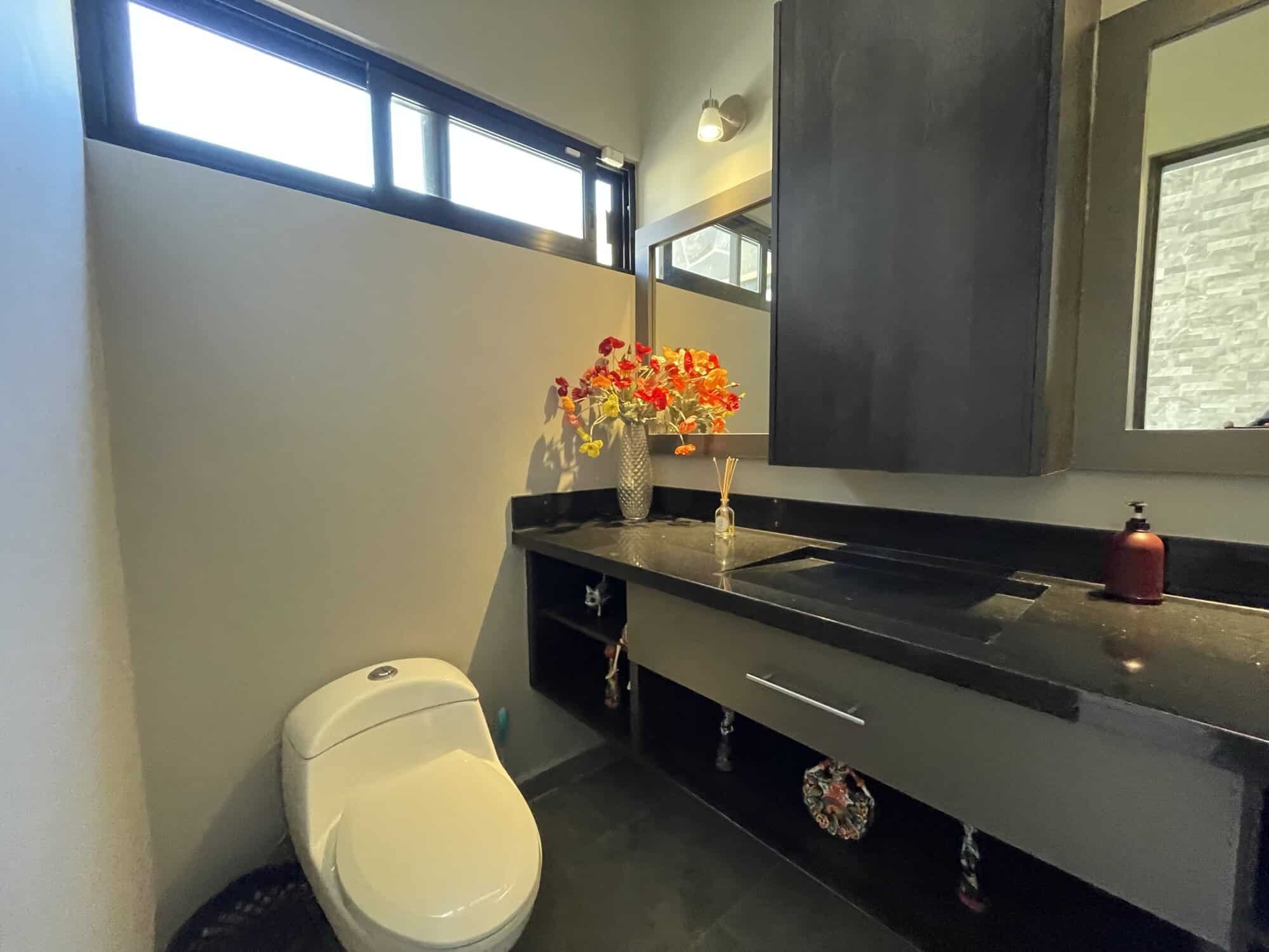 Modern bathroom featuring a black countertop, decorative vase with flowers, and natural light from w.