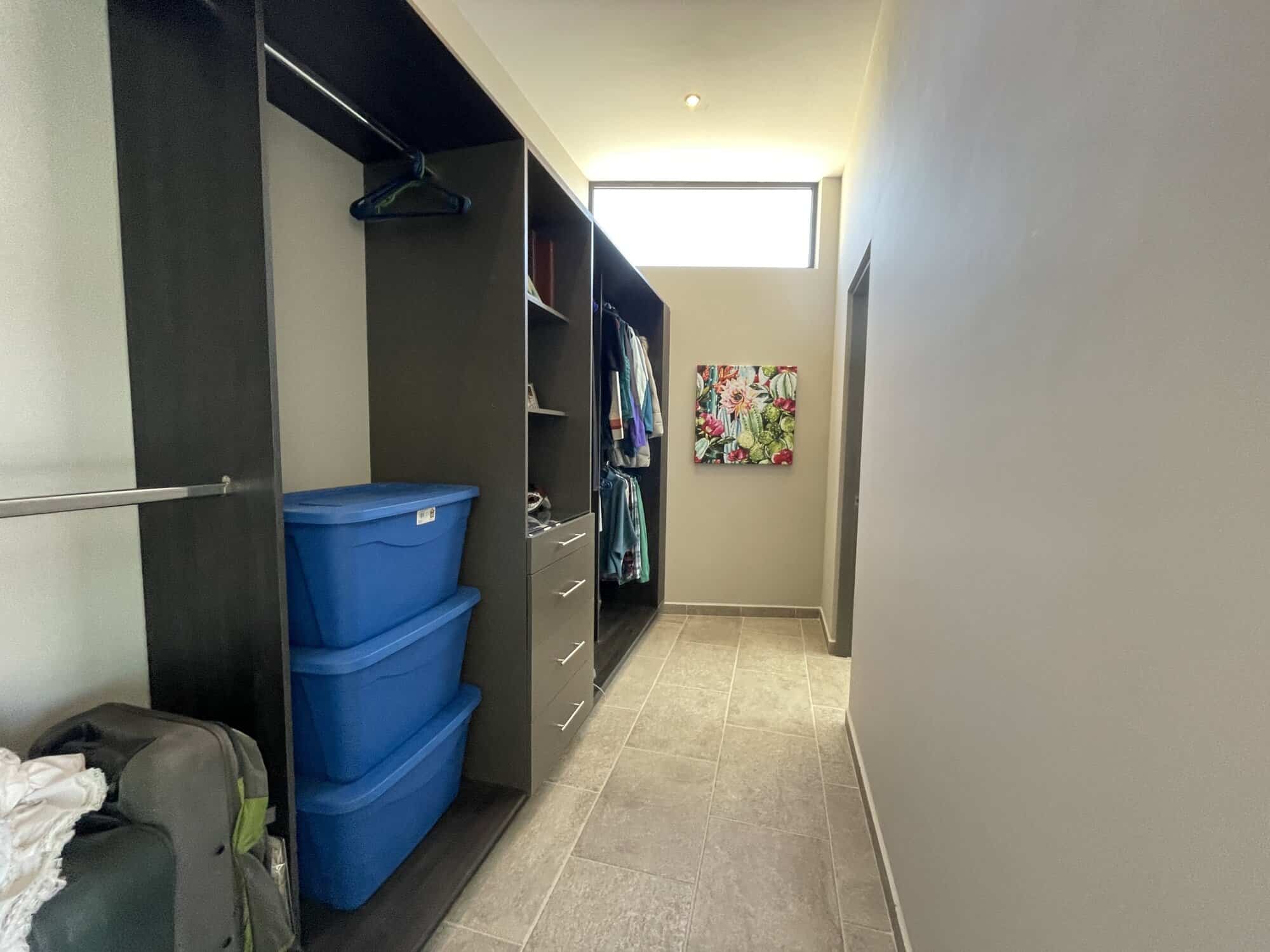 Storage closet with blue bins and hanging clothes in a modern home.