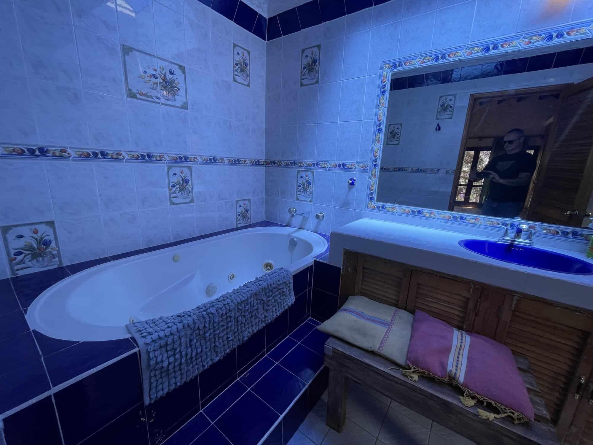 Luxury bathroom with bathtub and large mirror for relaxing and grooming.