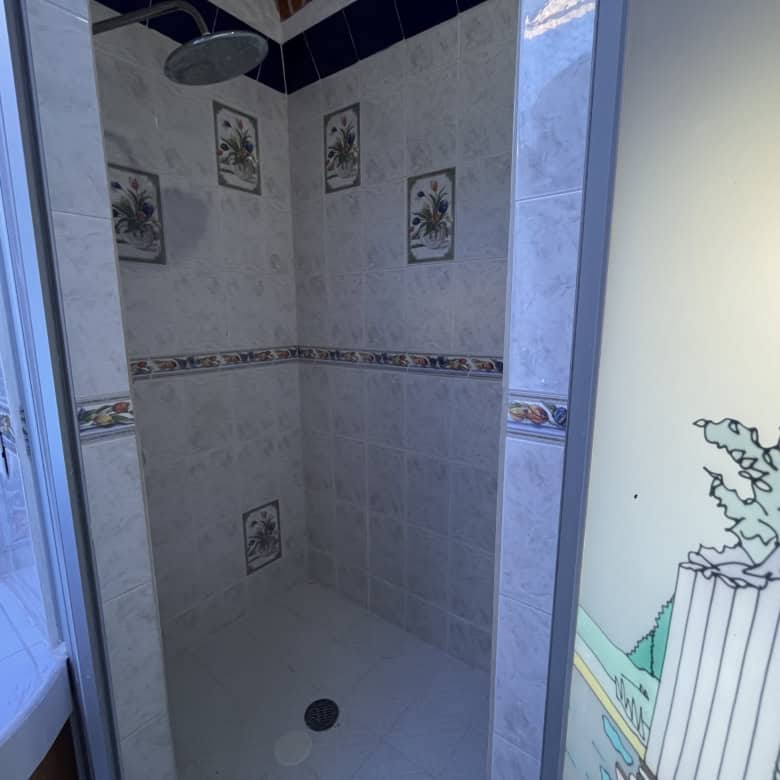 Modern tiled shower with decorative accents and rainfall head.