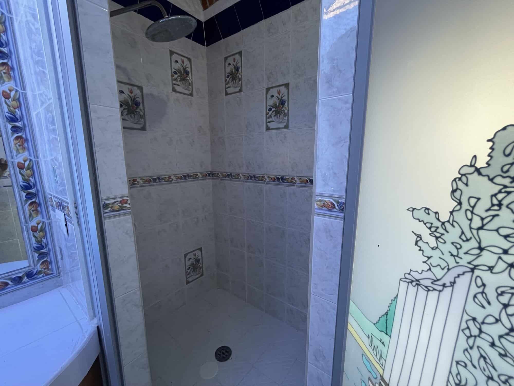 Modern tiled shower with decorative accents and rainfall head.