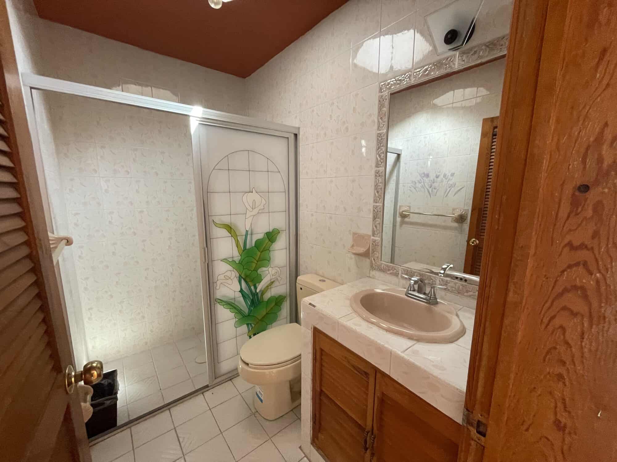 Small bathroom with shower, toilet, and mirror in a cozy home setting.