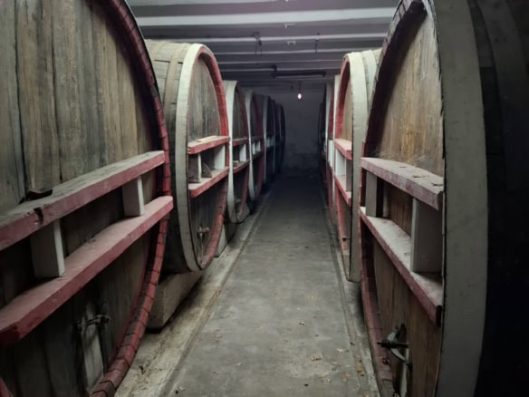 Large wooden wine barrels stored in a cellar for aging wine.