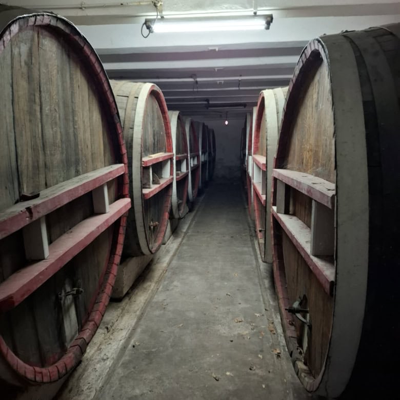 Large wooden wine barrels stored in a cellar for aging wine.