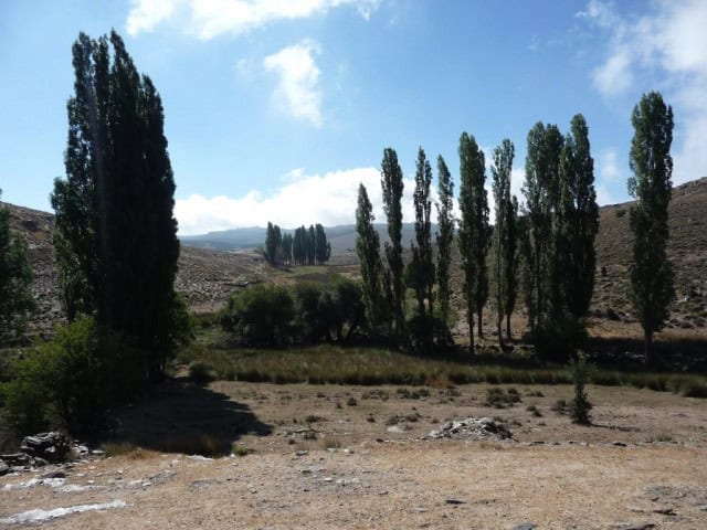 Beautiful rural estate with lush trees and open land in Caniles, Granada. Perfect for countryside li.