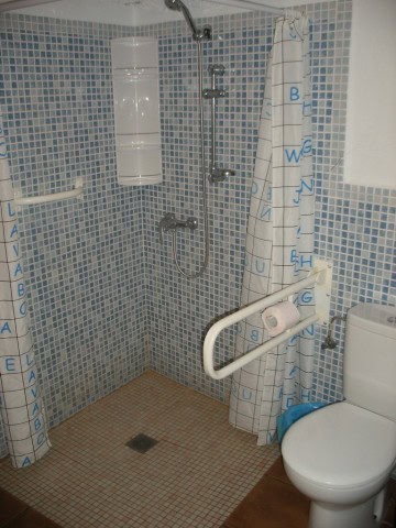 Bathroom with shower, toilet, and safety grab bar in Cave House, Cuevas del Campo, Granada.