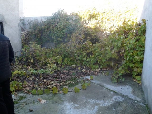 Village property with overgrown garden in Cortes de Baza, Granada, ideal for renovation or developme.