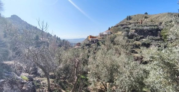 Charming village property surrounded by olive trees in Cuenca, Jaen, offering scenic mountain views.