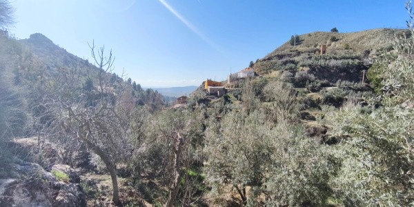 Charming village property surrounded by olive trees in Cuenca, Jaen, offering scenic mountain views.