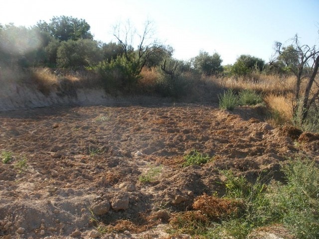 Cave house plot in Cuevas del Campo, Granada, ideal for renovation or new construction. Surrounded b.