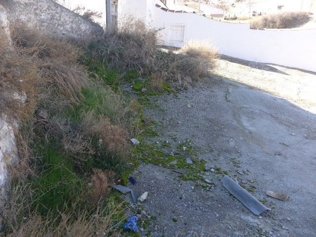 Abandoned cave house site in Galera, Granada with overgrown vegetation and debris.