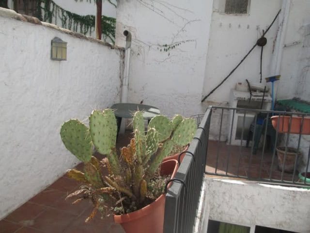 Charming village property with cactus garden in Quesada, Jaen, Spain. Ideal for relaxing and enjoyin.