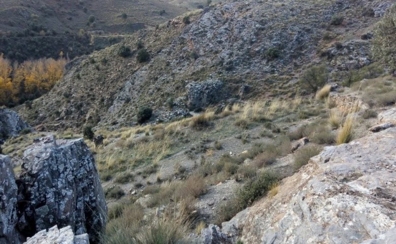 Farm property in Gor, Granada with scenic mountain views and rural landscape.