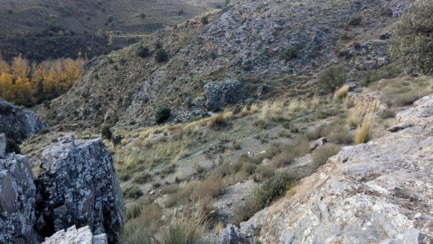Farm property in Gor, Granada with scenic mountain views and rural landscape.