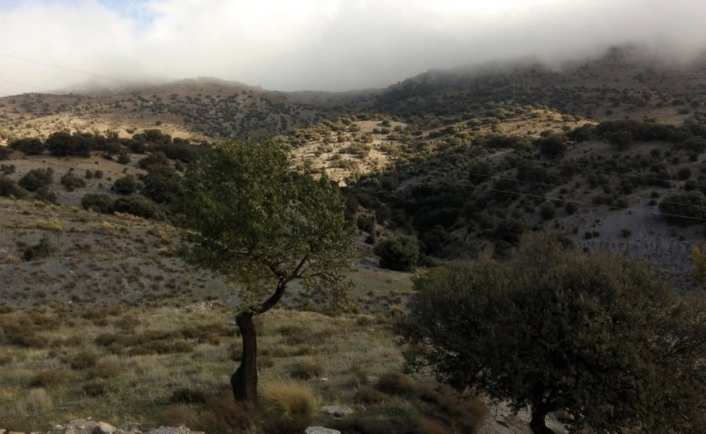 Farm property in Gor, Granada with scenic mountain views and lush greenery. Ideal for rural living o.
