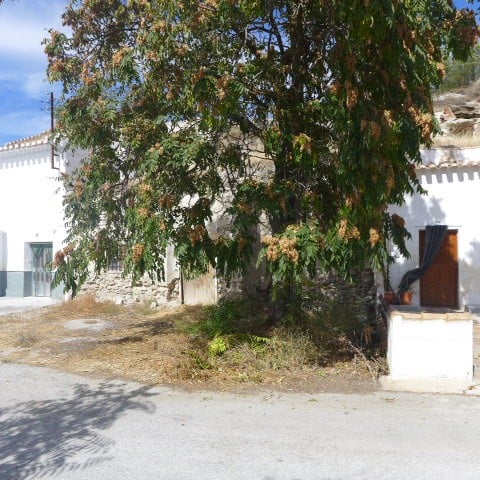 Cave house surrounded by trees in La Alqueria, Granada, Spain. Traditional rural property with natur.