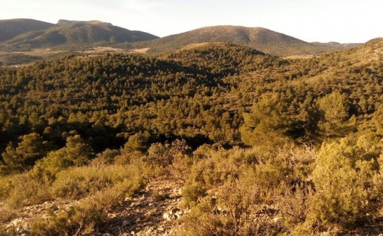 Land in Oria, Almeria with scenic mountain views and natural surroundings.