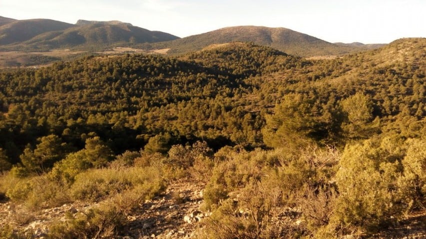 Land in Oria, Almeria with scenic mountain views and natural surroundings.