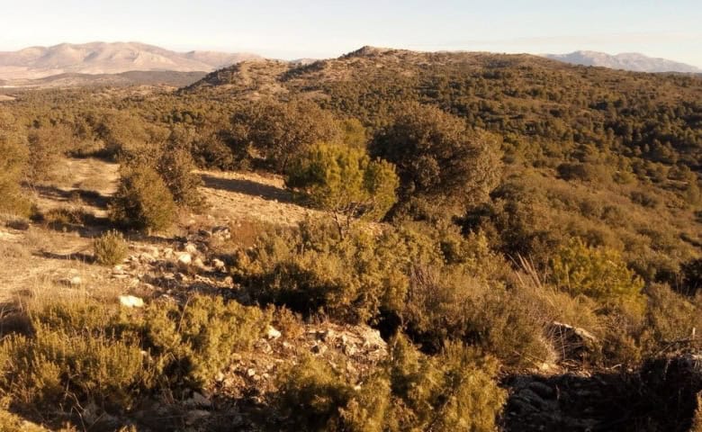 Scenic land plot in Oria, Almeria with natural landscape and rolling hills.