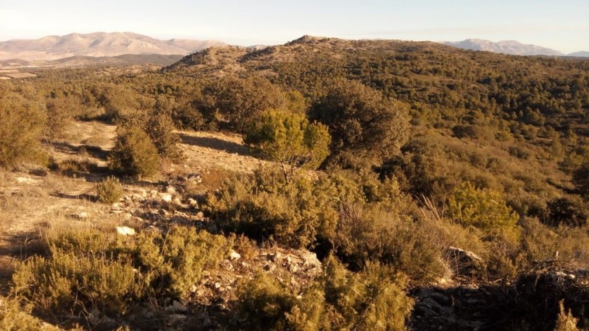 Scenic land plot in Oria, Almeria with natural landscape and rolling hills.