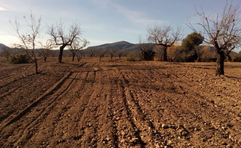 Land in Oria, Almeria with open fields and scenic mountain views.