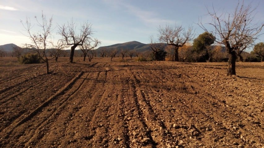 Land in Oria, Almeria with open fields and scenic mountain views.