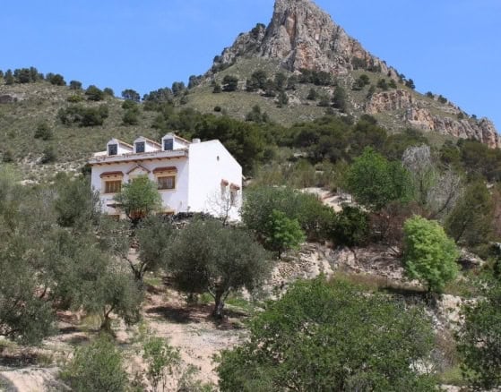 Finca in Larva, Jaen with mountain views and lush greenery.