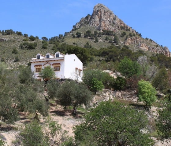 Finca in Larva, Jaen with mountain views and lush greenery.