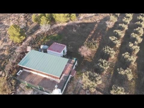 Aerial view of a cozy log home surrounded by lush trees in Freila, Granada, offering peaceful countr.