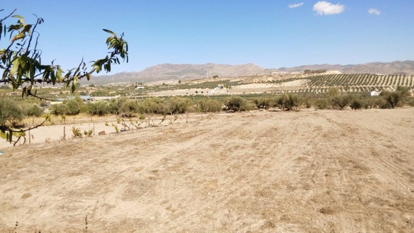 Beautiful rural property in Tijola, Almeria with open land and mountain views. Ideal for farming or.
