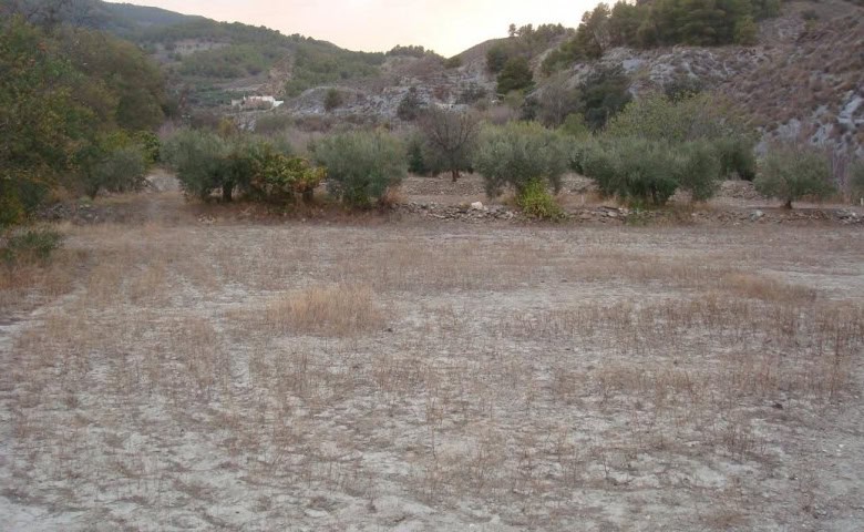 Scenic rural property in Purchena, Almeria, featuring open land and surrounding natural landscape.