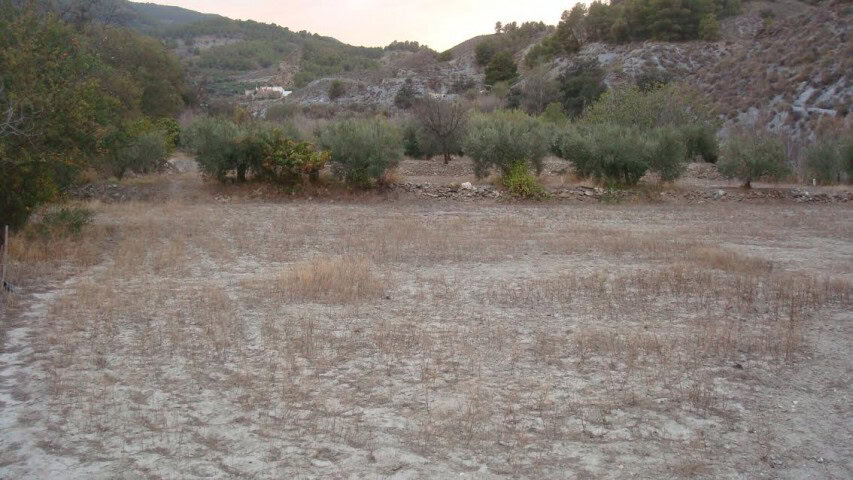 Scenic rural property in Purchena, Almeria, featuring open land and surrounding natural landscape.