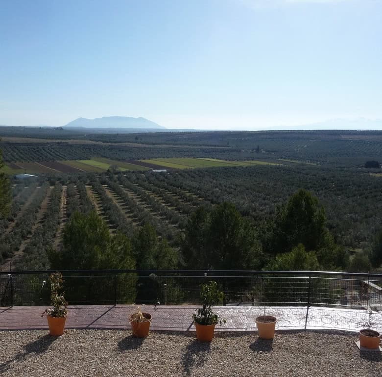 Cave house with panoramic views in Fontanar, Jaen, surrounded by lush countryside and olive groves.