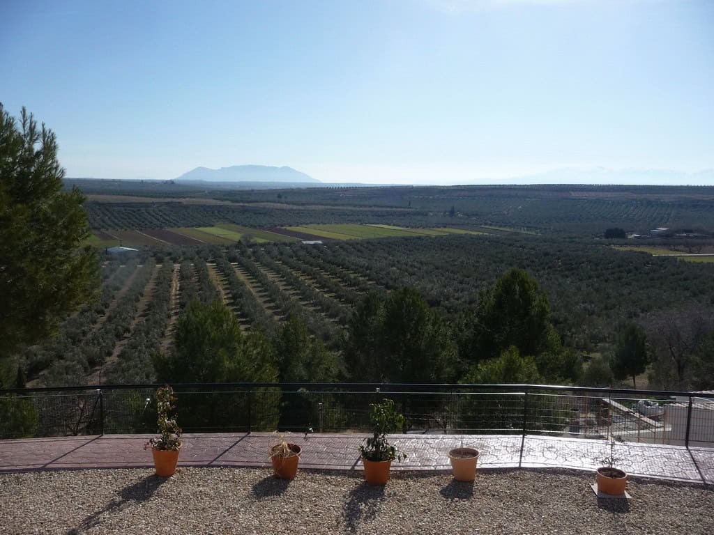 Cave house with panoramic views in Fontanar, Jaen, surrounded by lush countryside and olive groves.