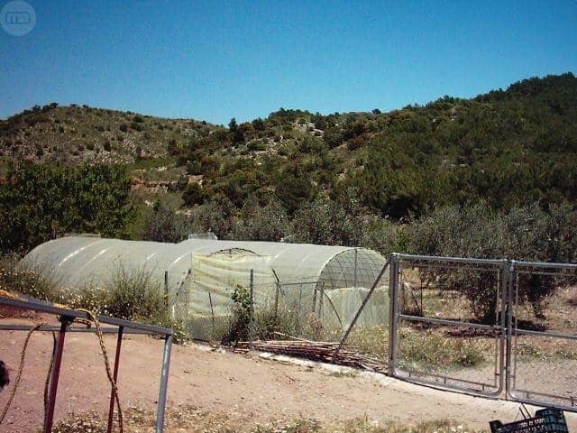 Farm property with greenhouses in Tijola, Almeria, ideal for agriculture or rural living.